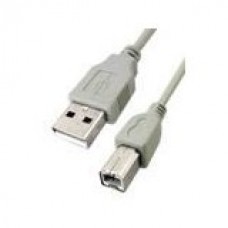 CABLE PRINTER USB A-MALE 6FT